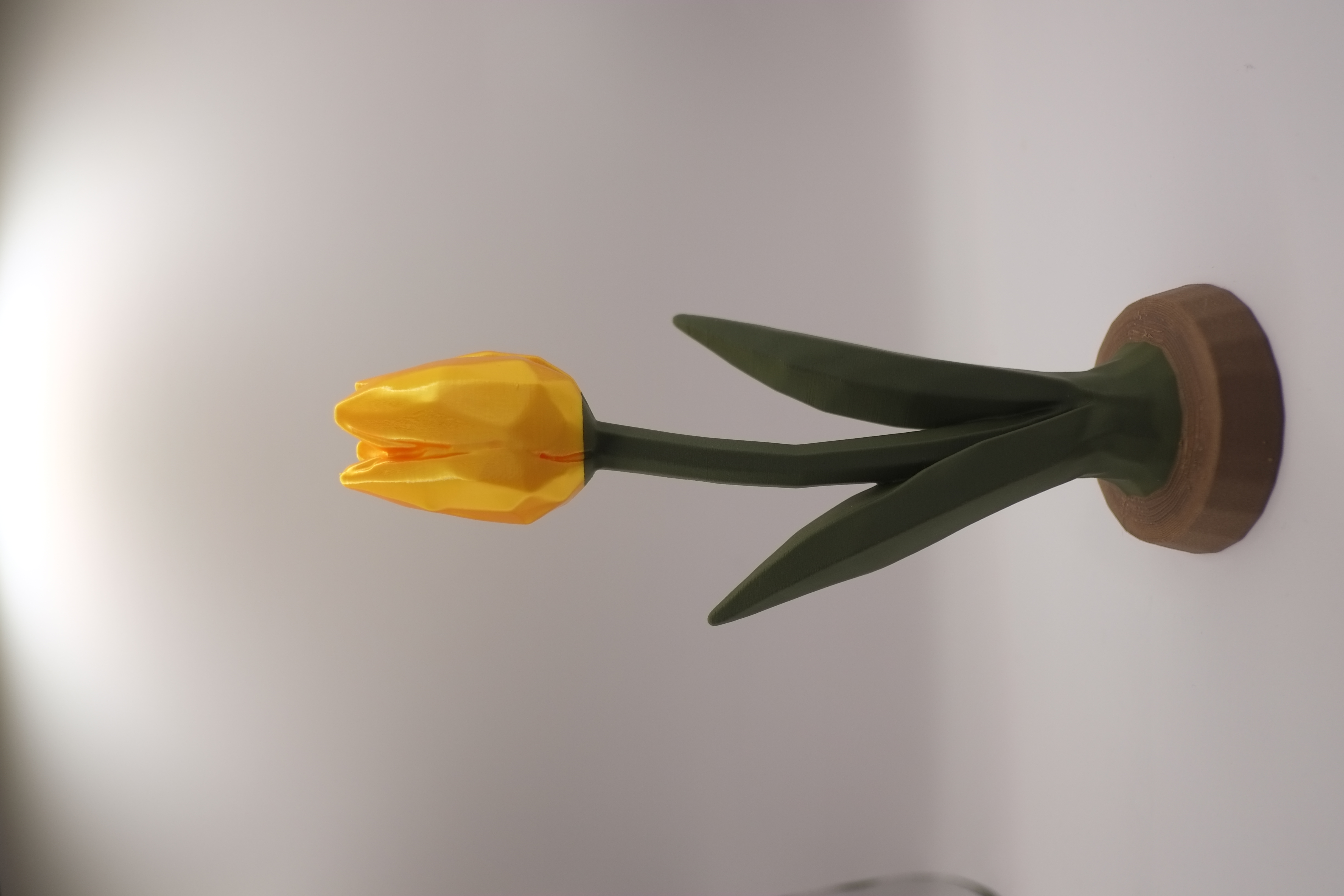 Tulip 2